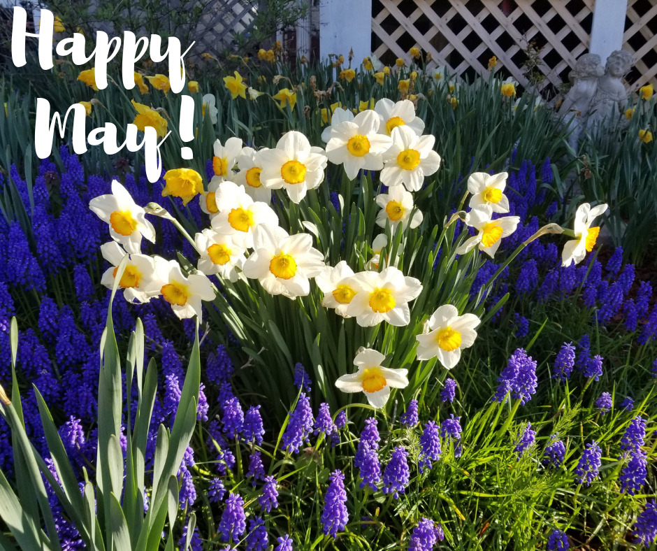 Happy May!